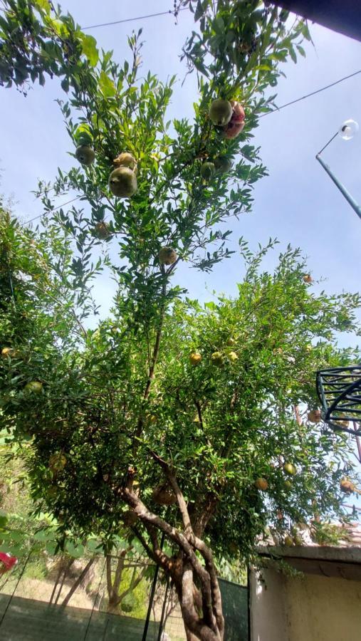 Relax Camping Gjirokastra Kültér fotó